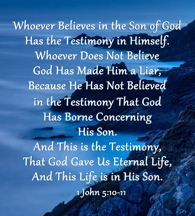 1 John 5:10-11